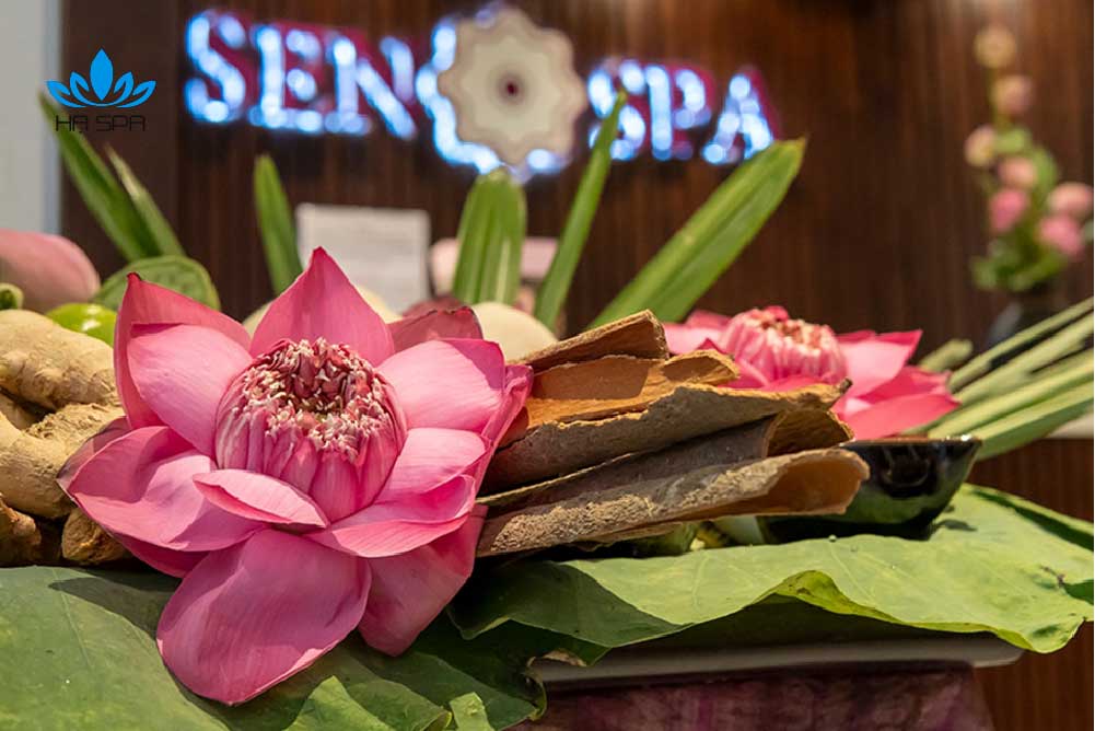 Sen Spa Long Biên