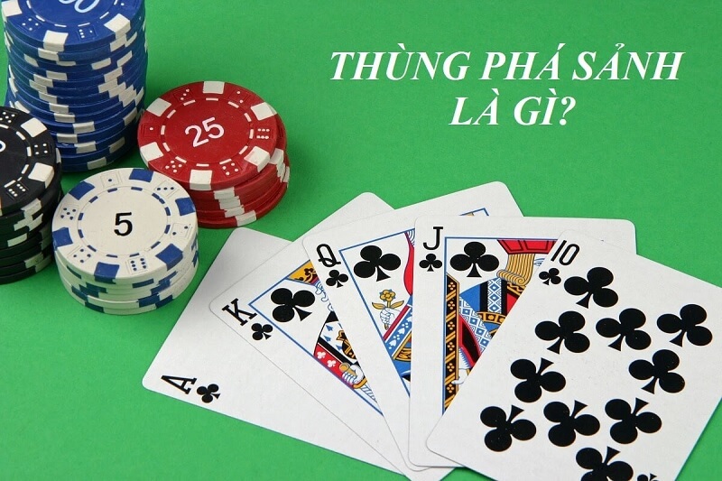 Thùng Phá Sảnh Là Gì? Tìm Hiểu Mẹo Sử Dụng Thùng Phá Sảnh
