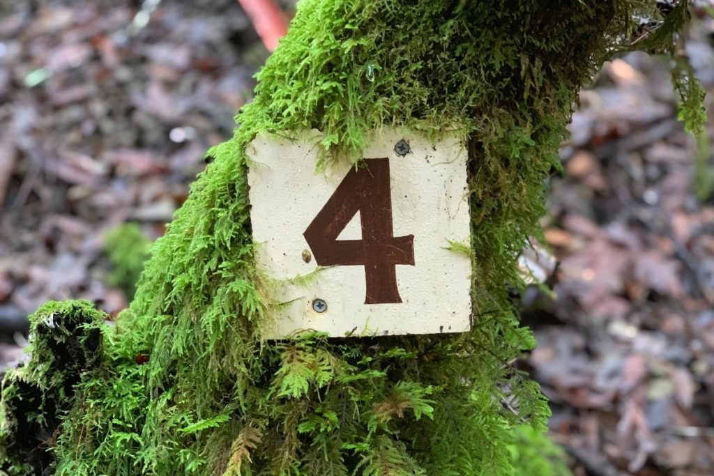 Ý Nghĩa Chỉ Số Linh Hồn Số 4: Ổn Định, Kỷ Luật Và Trách Nhiệm